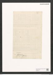 Diatomeae indet. Zeichnungen Sammlung Grunow (NHMW-BOT-W0368714)